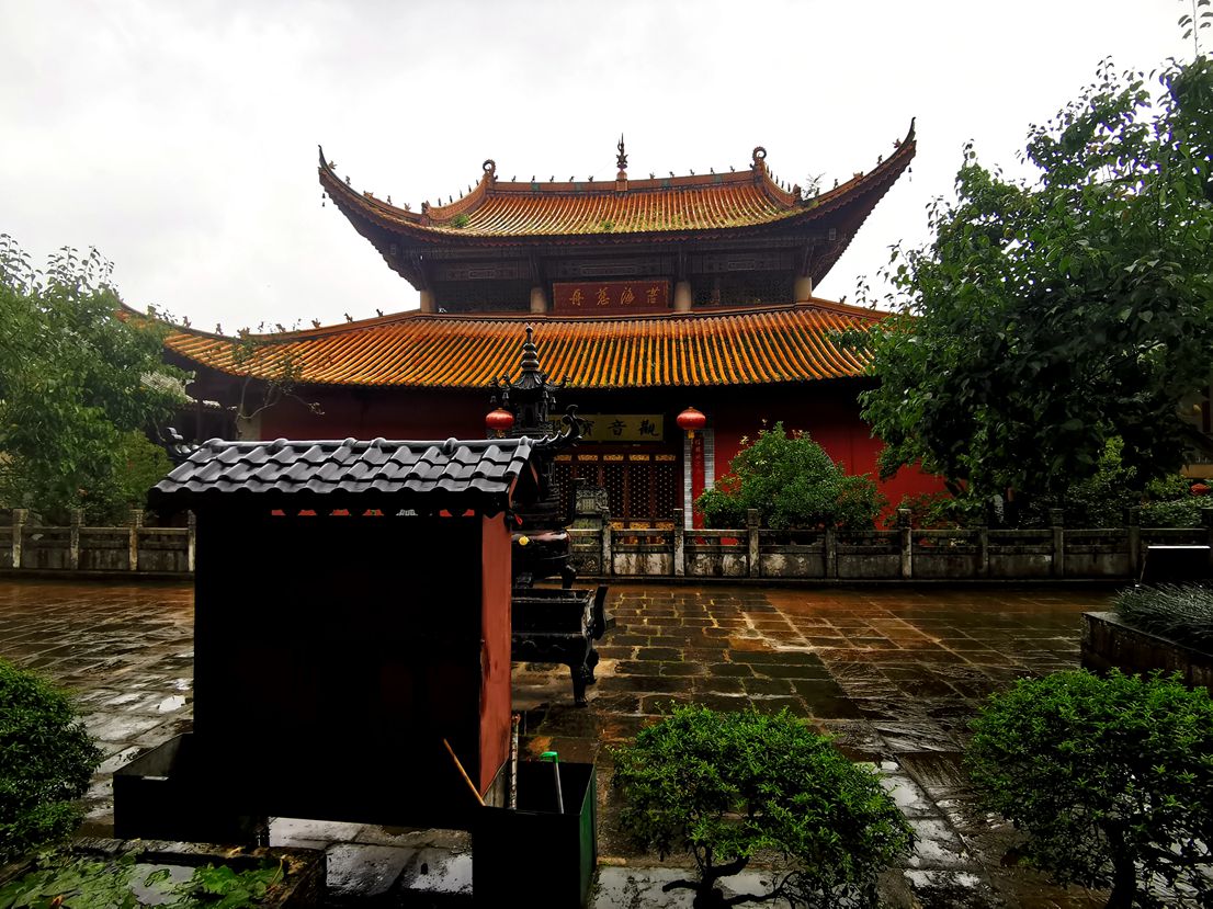 IMG_20240714_6.jpg