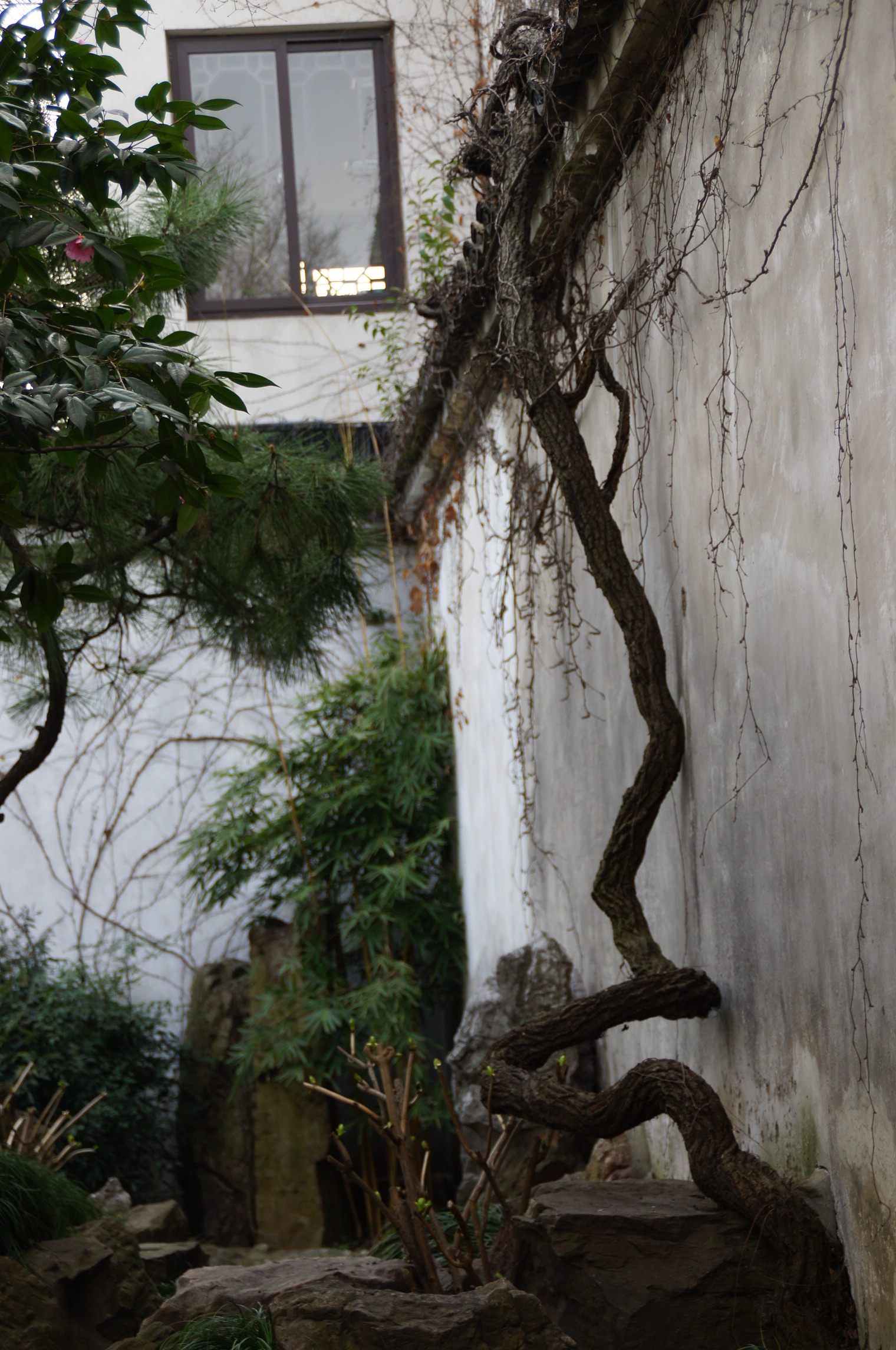 DSC02504.JPG