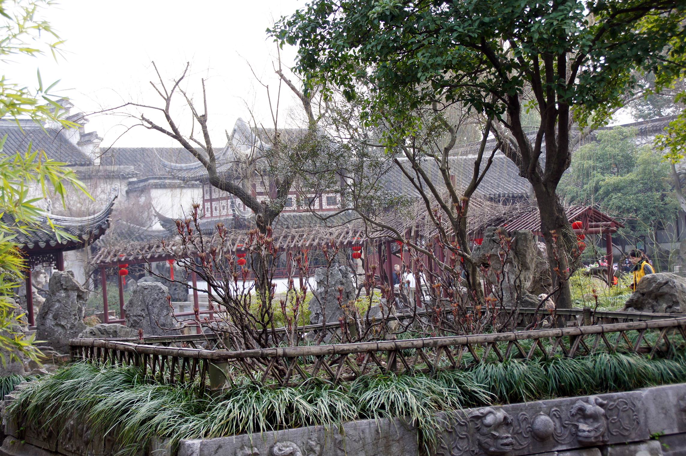 DSC02524.JPG