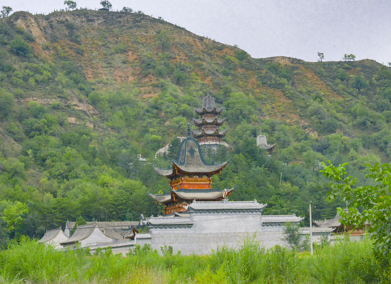 DSC_8333-1 拷贝-1.jpg