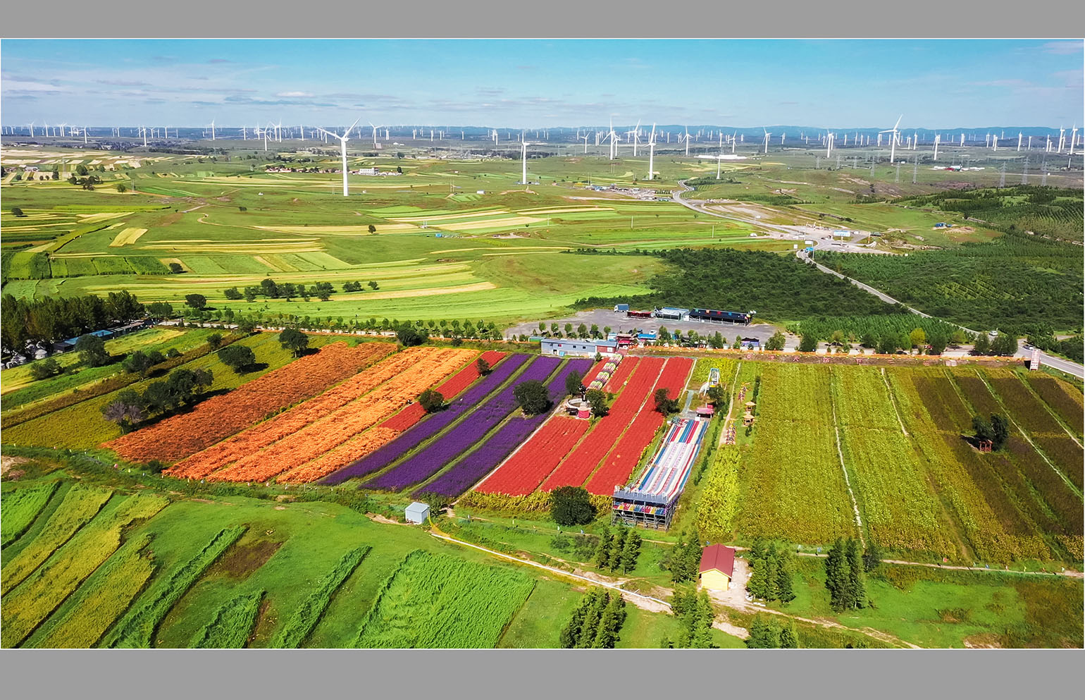 DJI_0829 - frame at 1m16s 拷贝.jpg