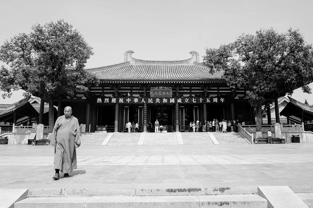 nEO_IMG_DSC02000.jpg