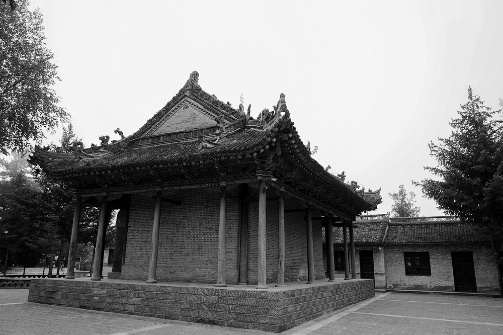 nEO_IMG_DSC01239.jpg