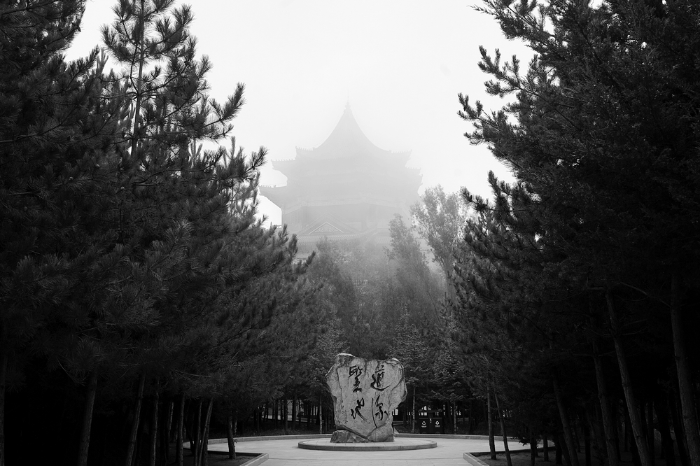 nEO_IMG_DSC01193.jpg