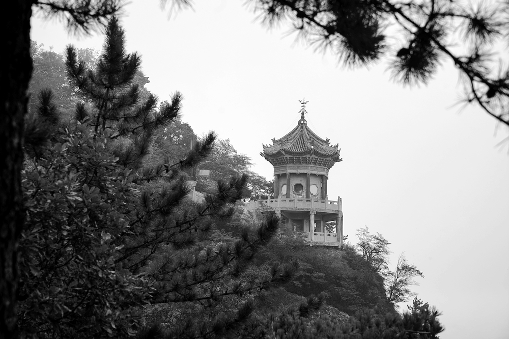 nEO_IMG_DSC01362.jpg