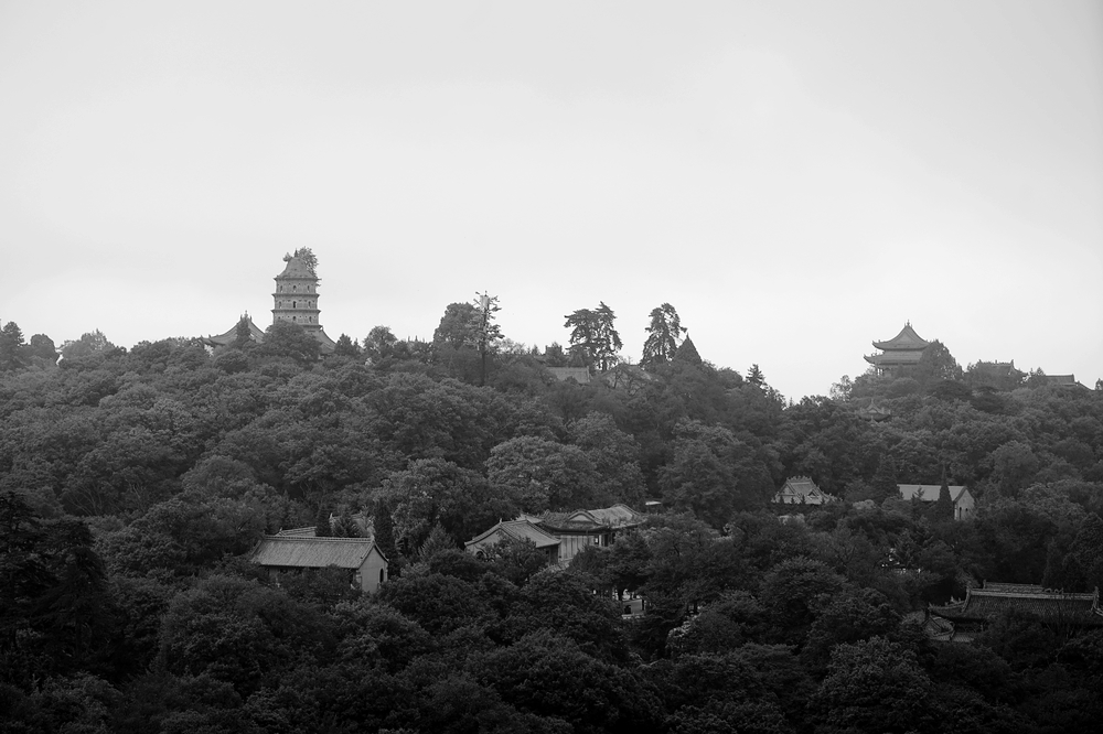nEO_IMG_DSC01394.jpg