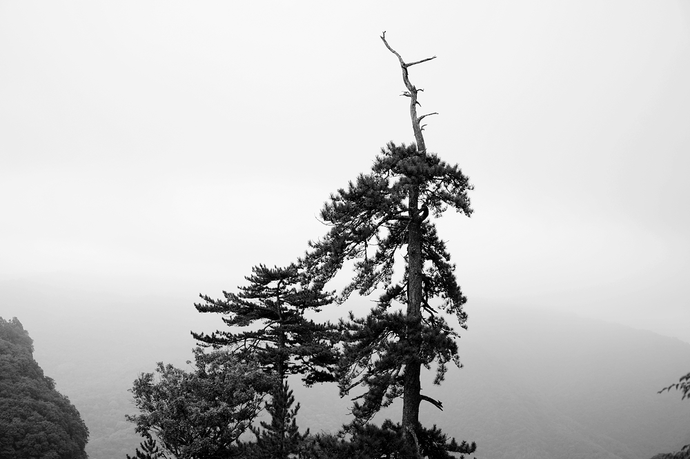 nEO_IMG_DSC01397.jpg