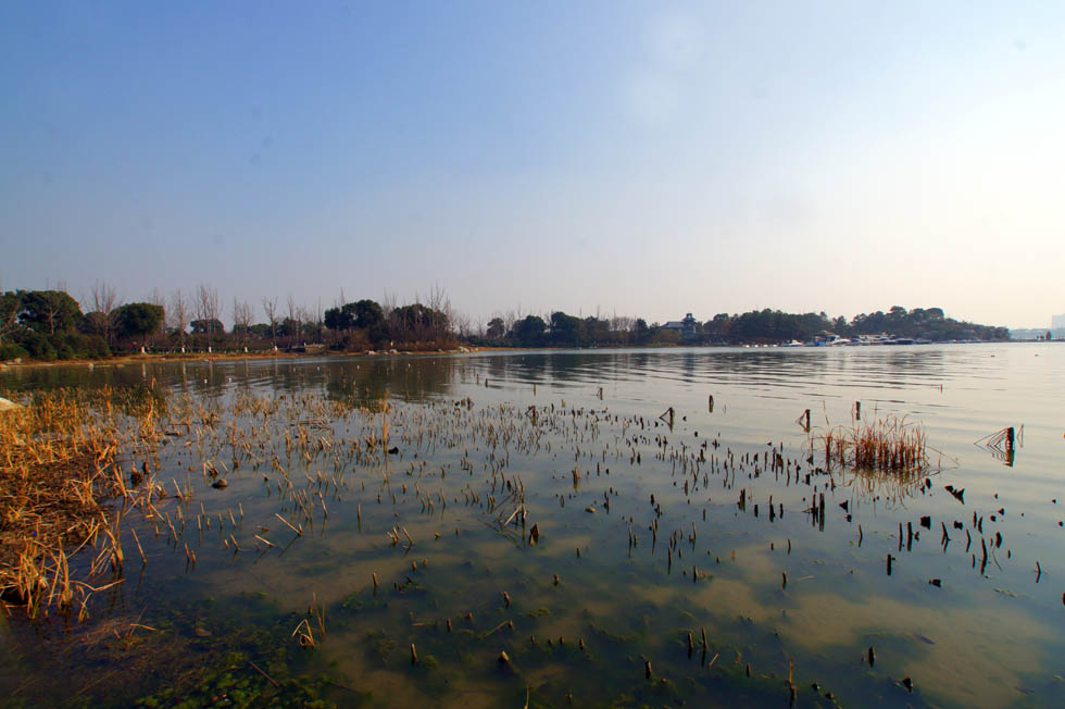 DSC09322.JPG