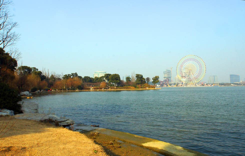 DSC09342.JPG