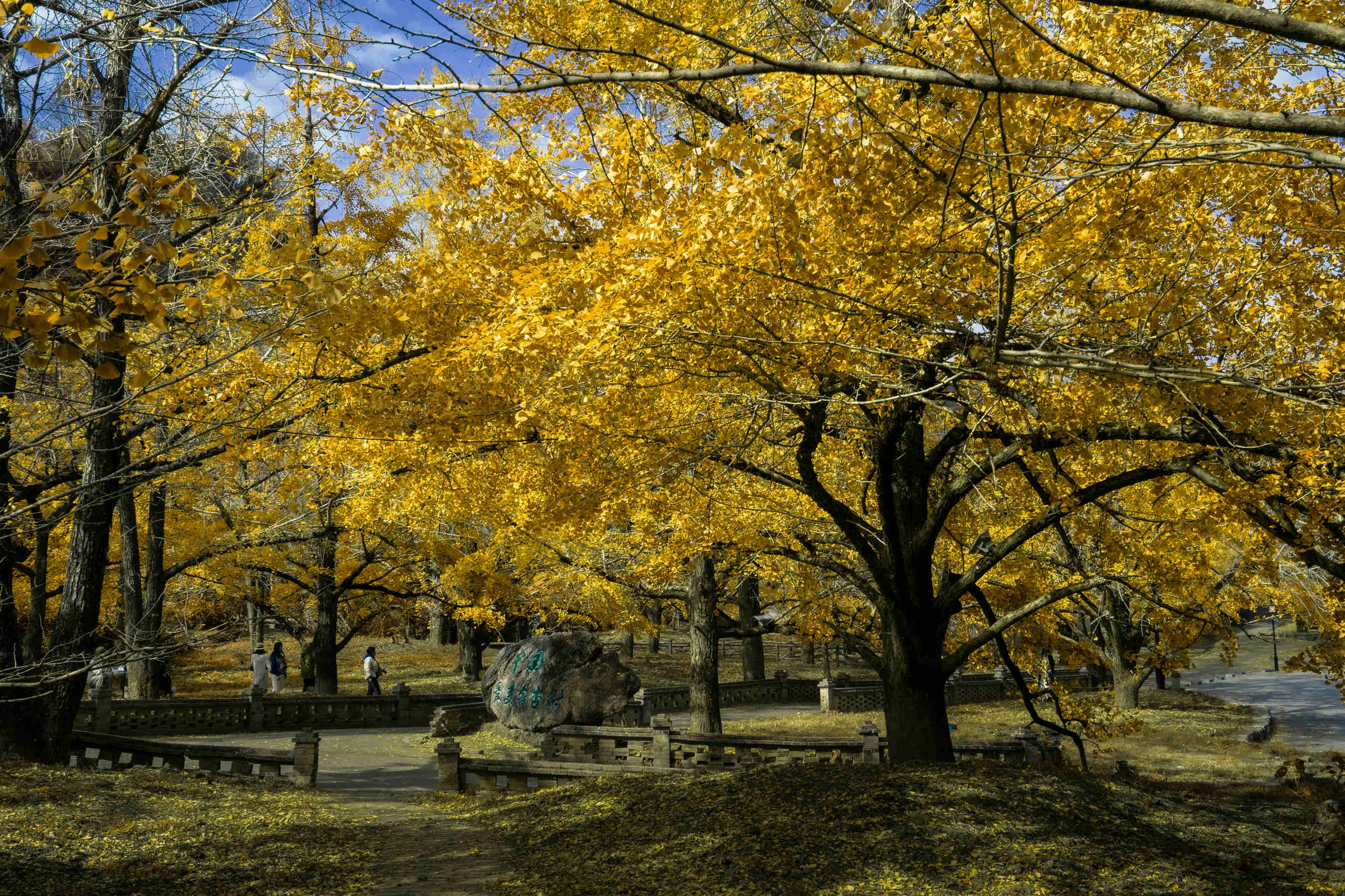 DSC04294-0 - 副本.jpg