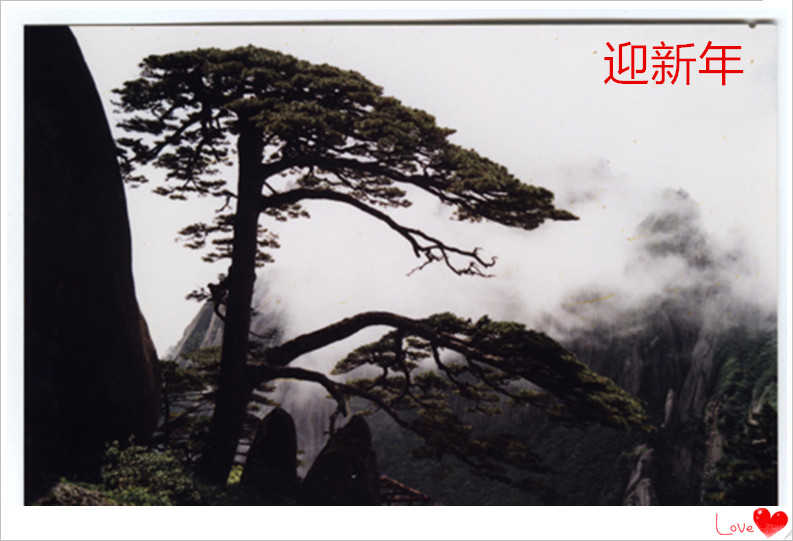20090201_3f127de92e10a18cff4f11d4uSBu7iUt_看图王_副本.jpg