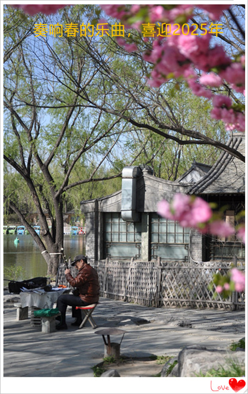 DSC_0276_副本_看图王_副本.jpg