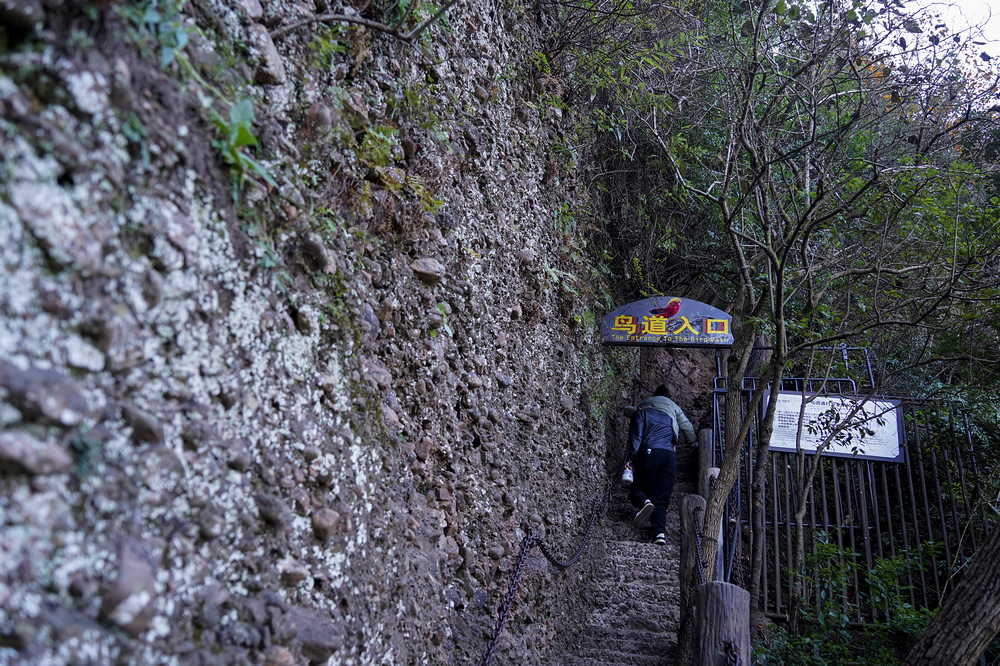 nEO_IMG_DSC02835.jpg