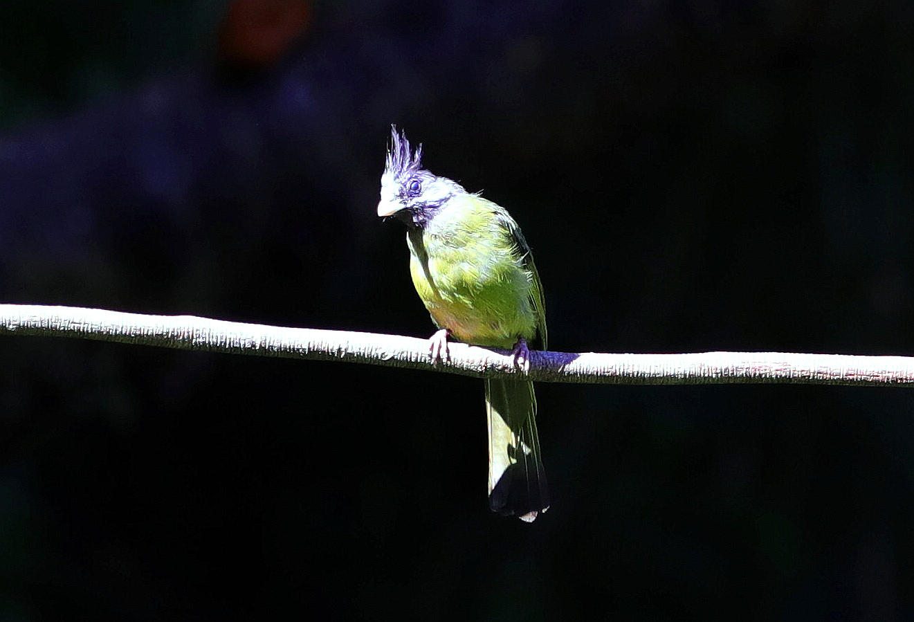 BK2A9142.JPG