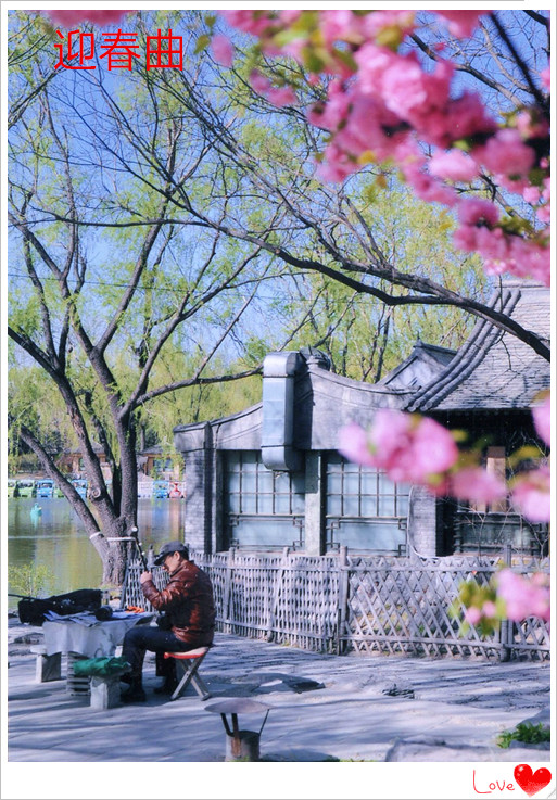 img206_看图王_副本.jpg