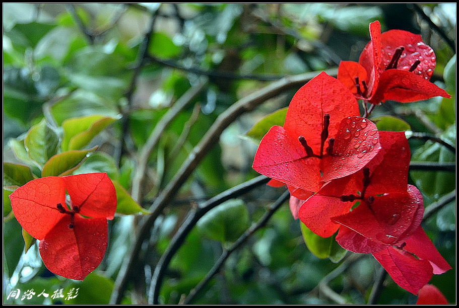 DSC_3089_调整大小.JPG