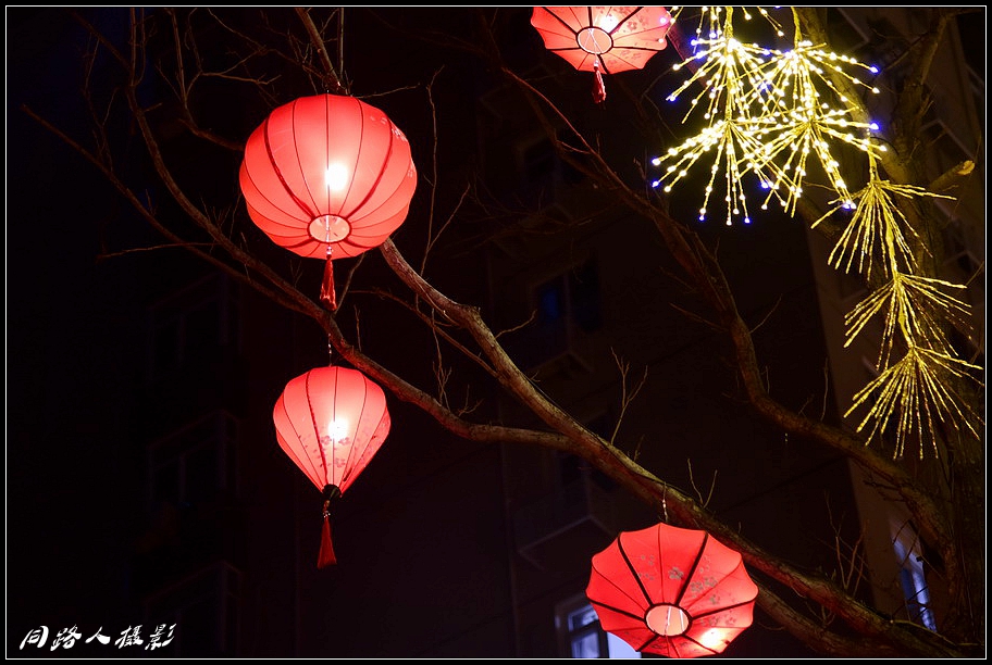DSC_1565_调整大小.JPG