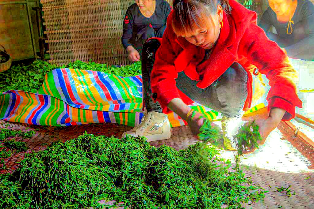 IMG_4671_副本.jpg