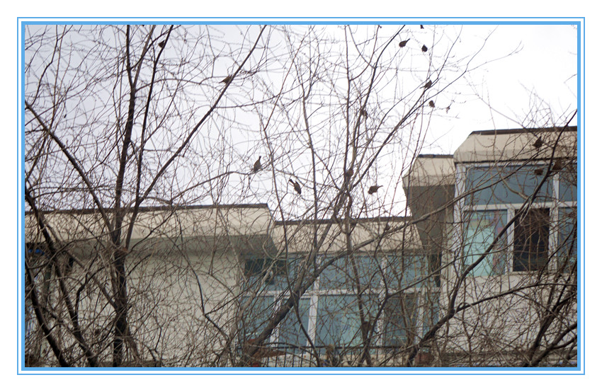 DSC00144_看图王_副本.jpg