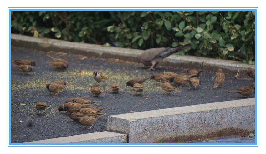 DSC00149_看图王_副本.jpg