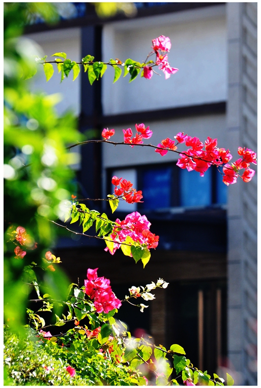 DSC_0146a_副本.jpg