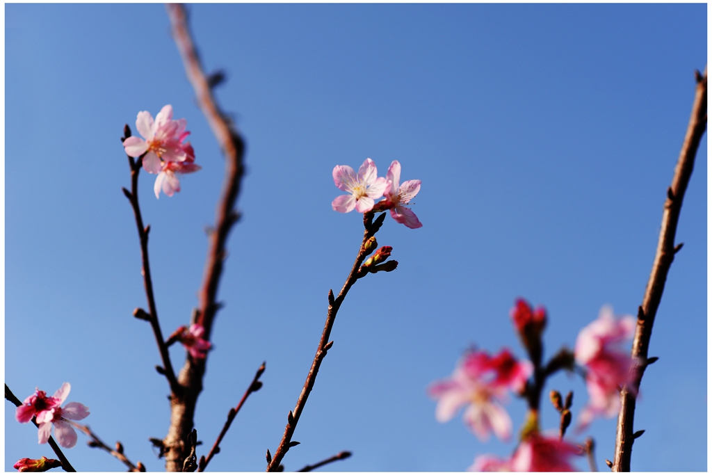 DSC_0385a_副本.jpg
