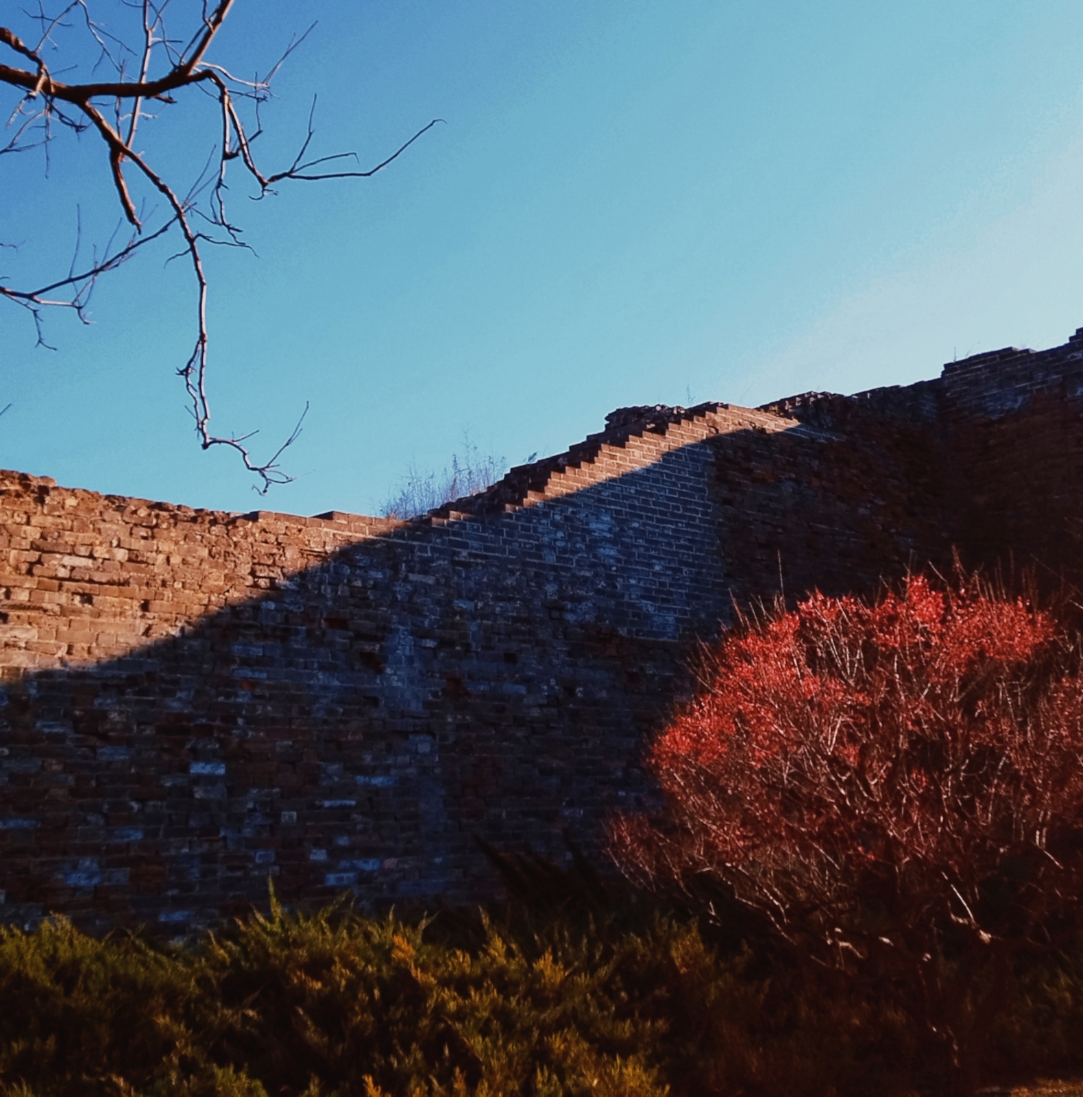 MEITU_20250316_171620209.jpg