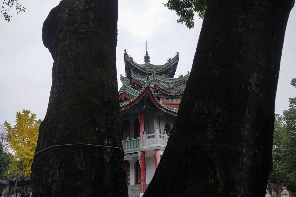 nEO_IMG_DSC03584.jpg