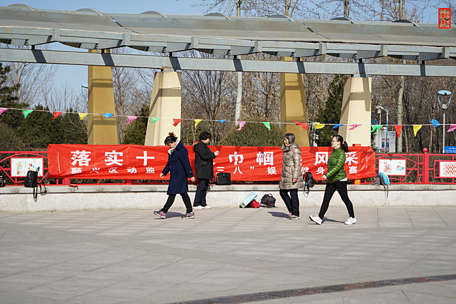 DSC06842.jpg