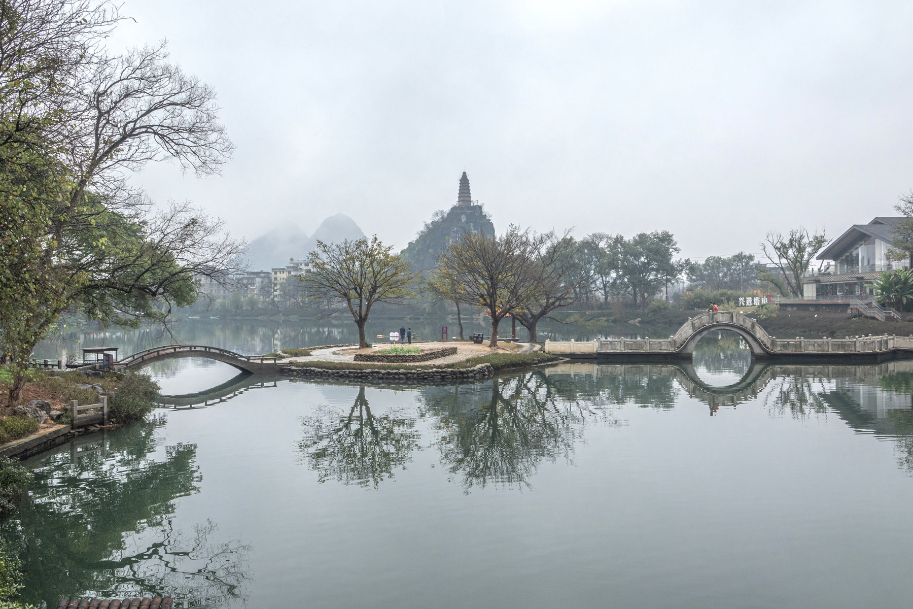 DSC05478-0.jpg