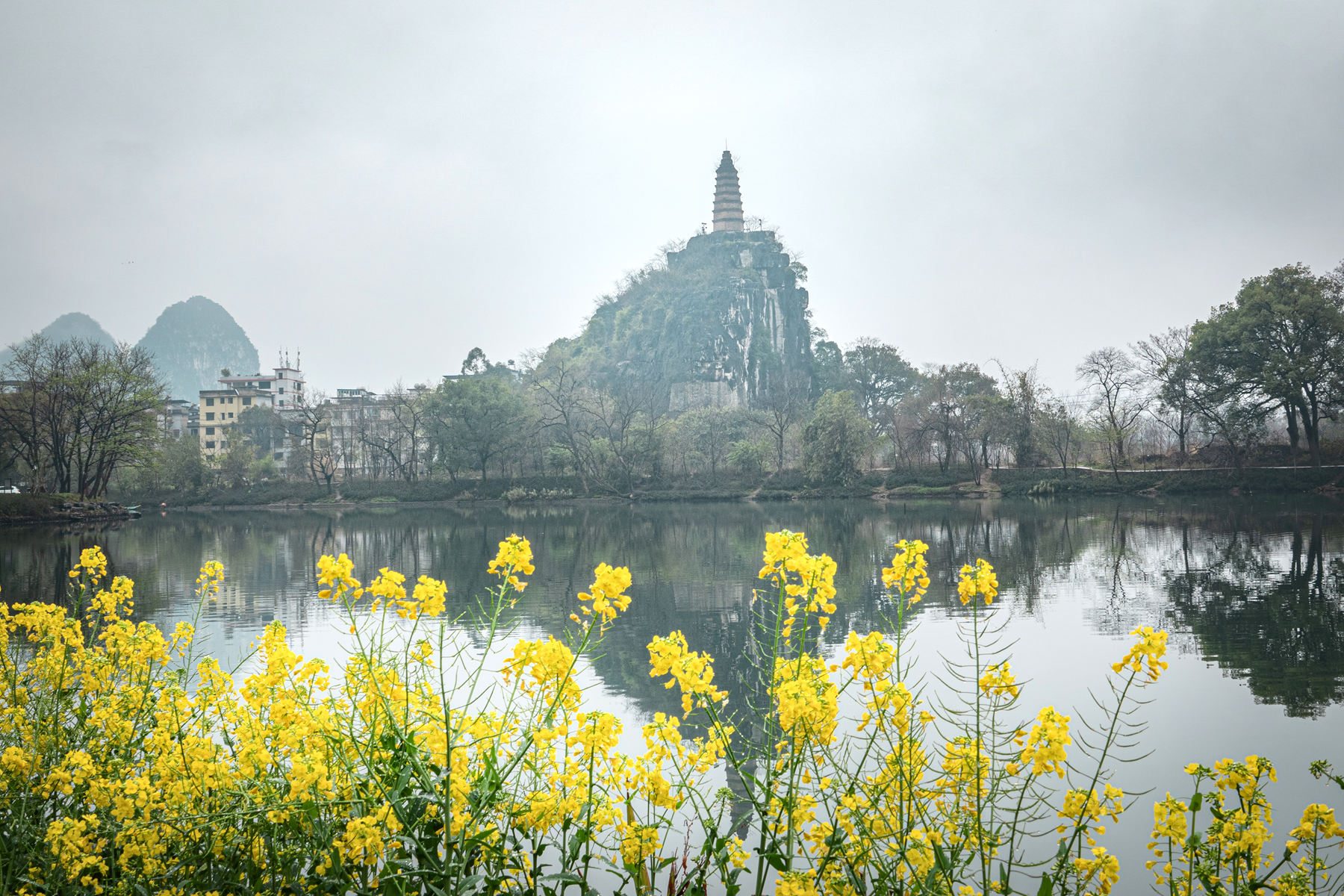 DSC05514-0.jpg