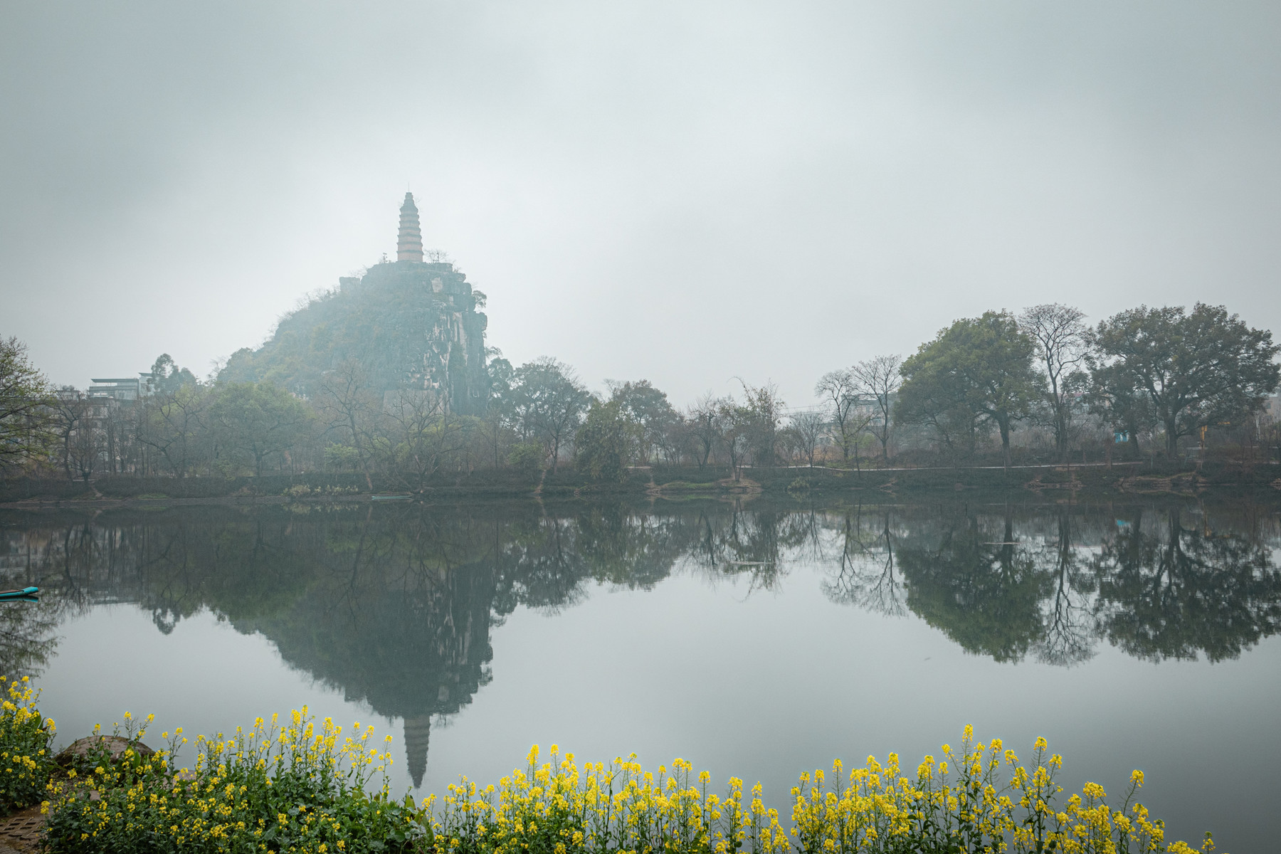 DSC05550-0.jpg