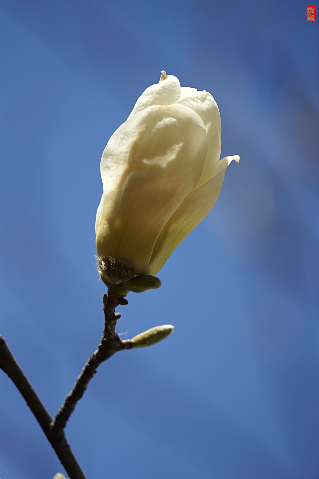 DSC06904.jpg