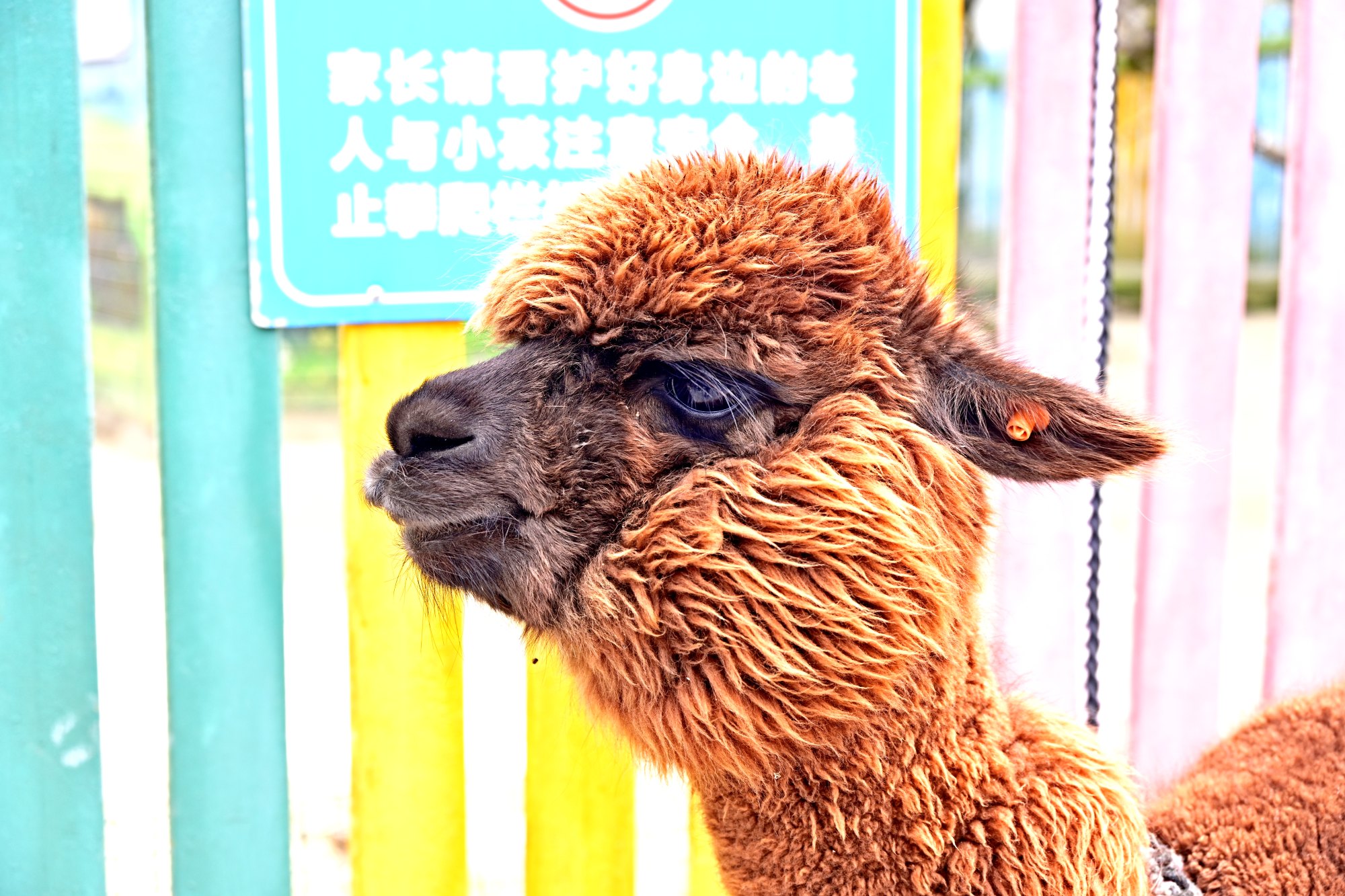 _1081206_副本.jpg