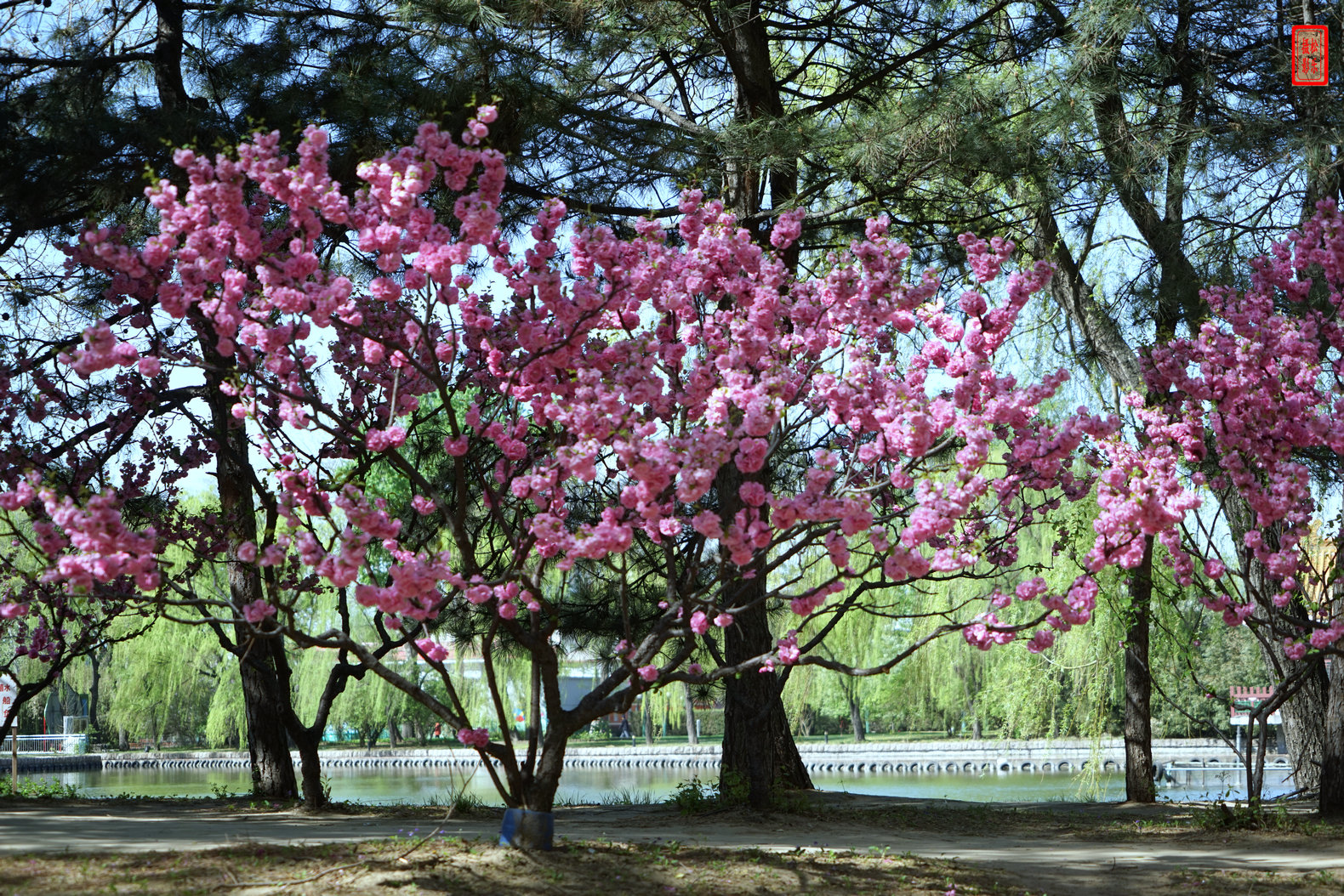 DSC07014.jpg