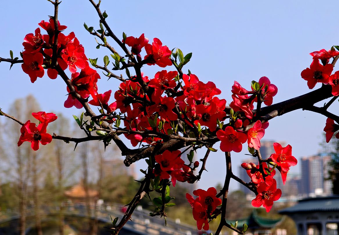 IMG_20250304_1.jpg