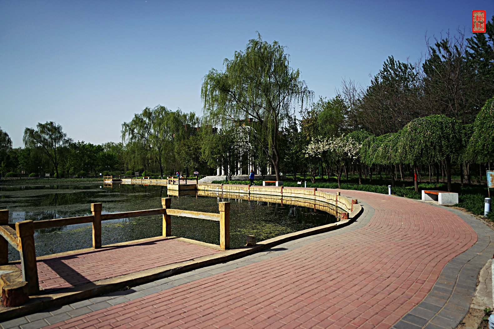 DSC07239.jpg