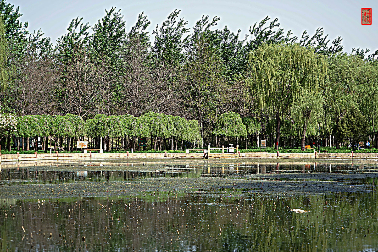 DSC07328.jpg
