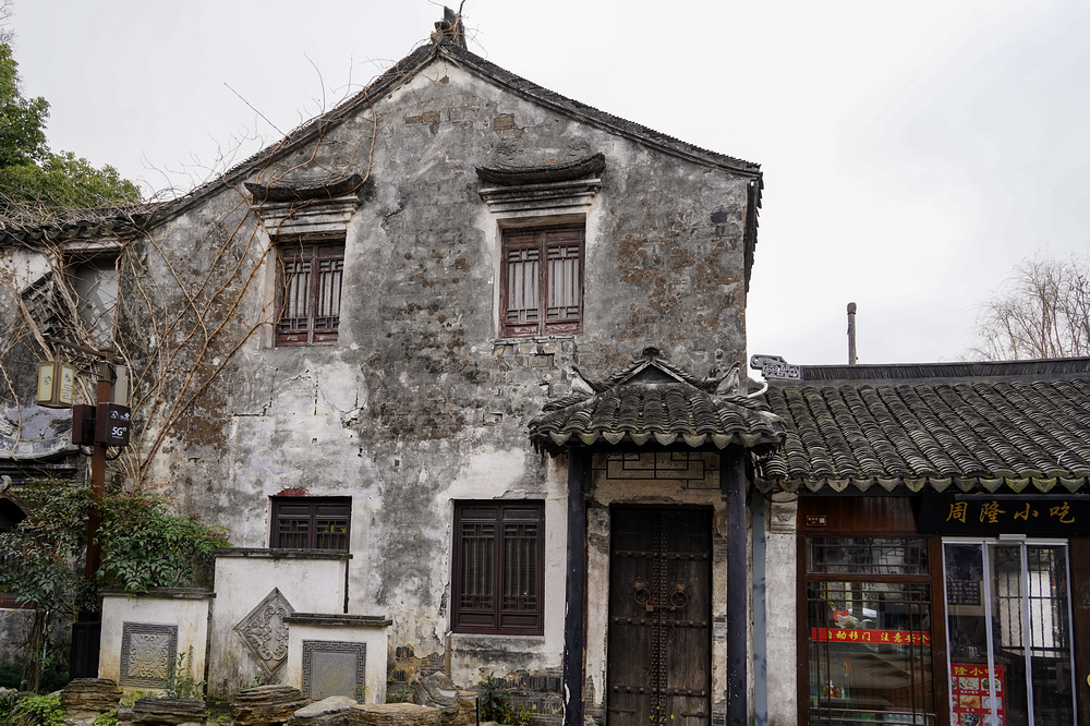 nEO_IMG_DSC04499.jpg