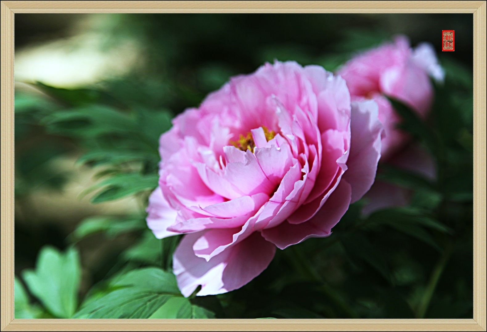 IMG_5402---8.jpg