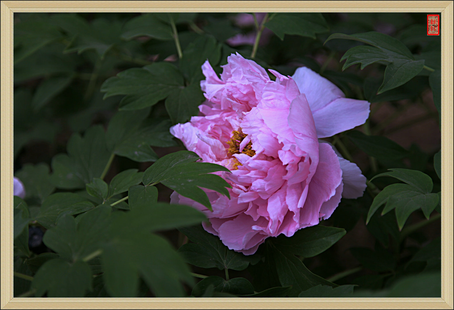 IMG_5420---18.jpg