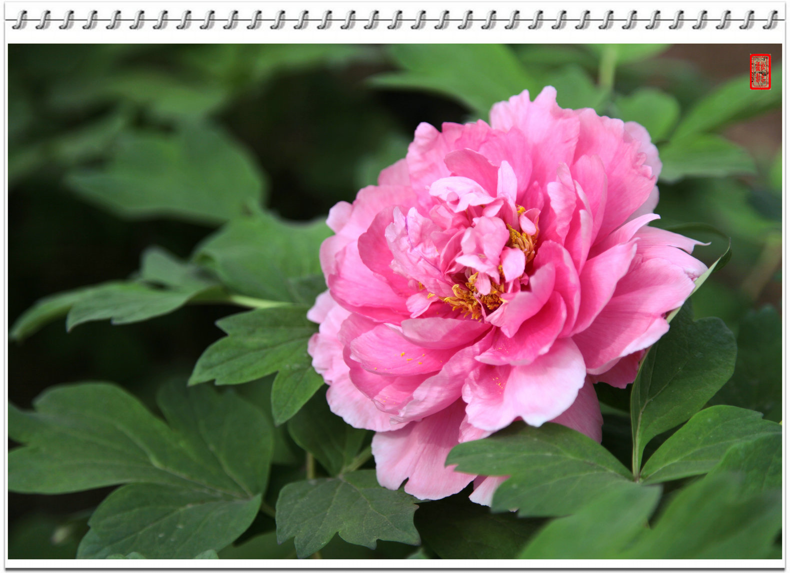 IMG_5422---25.jpg