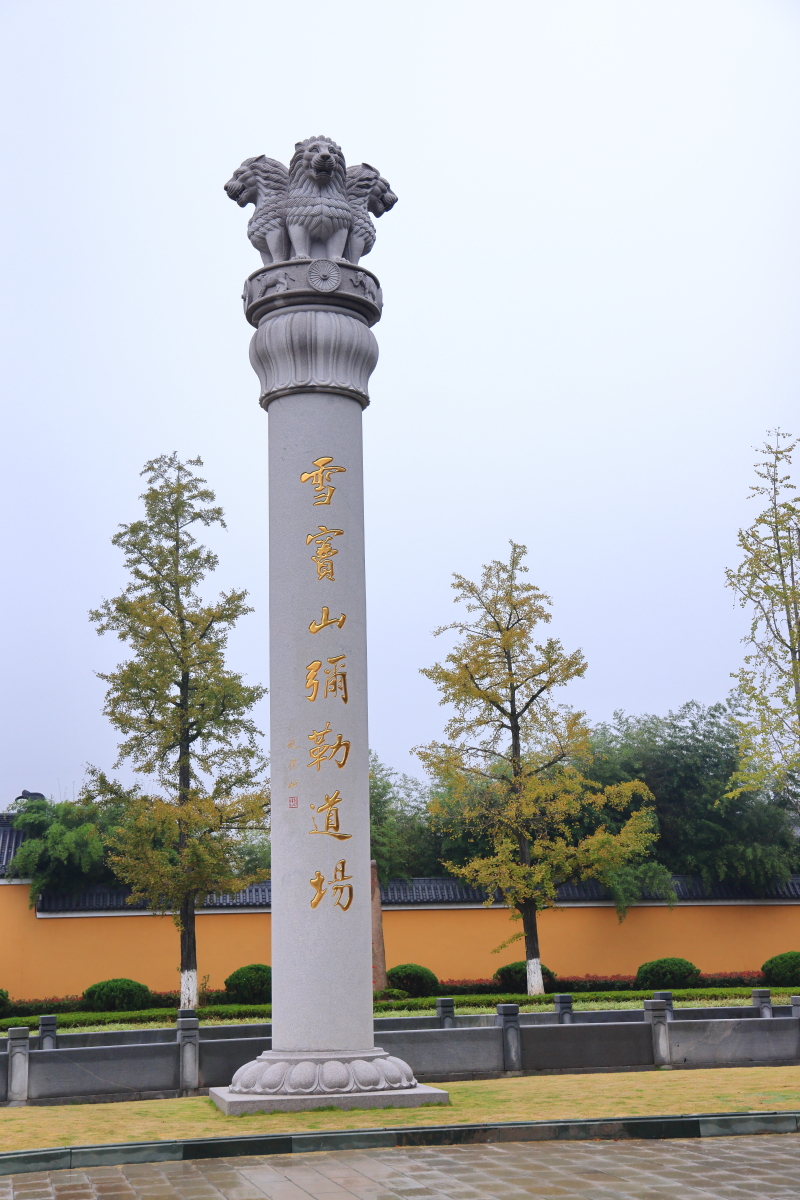 176A6288.JPG