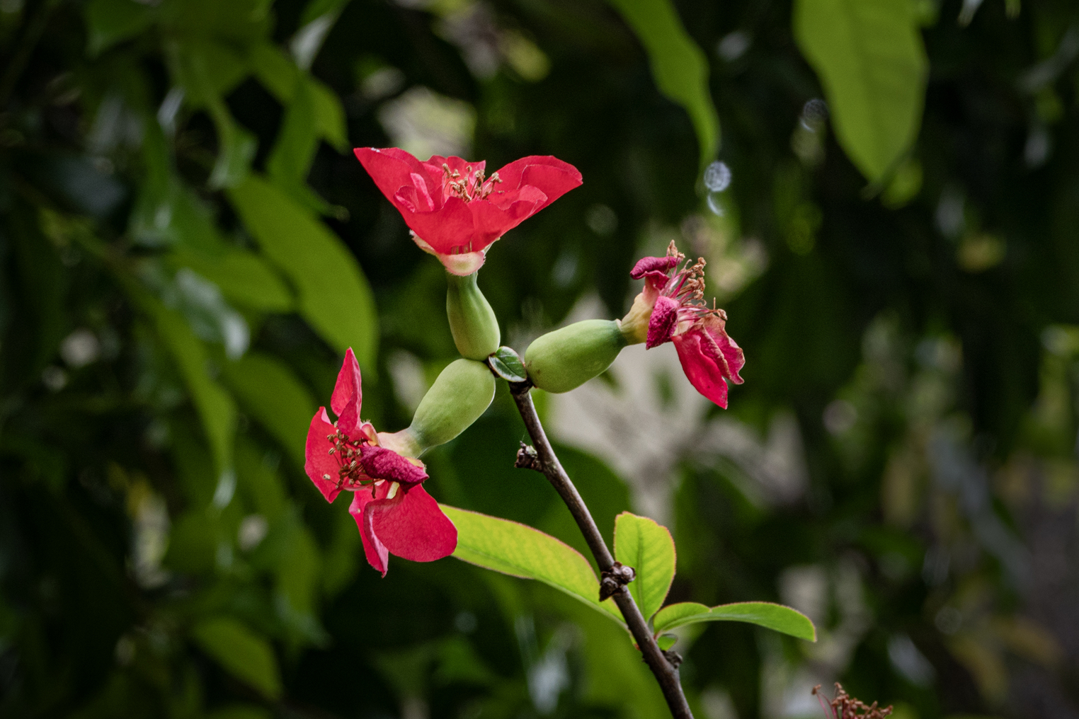 DSC06129-0.jpg