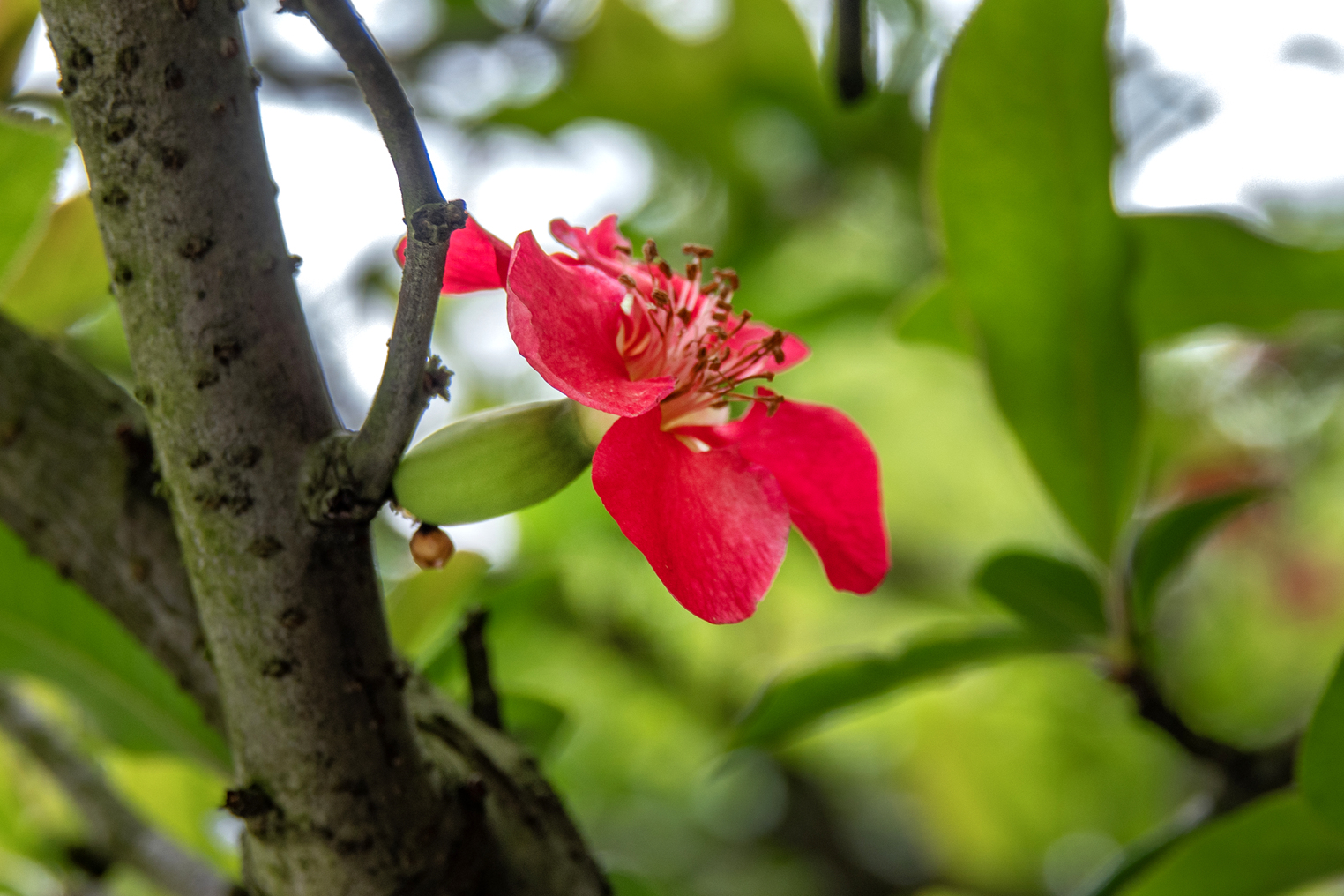 DSC06138-0.jpg