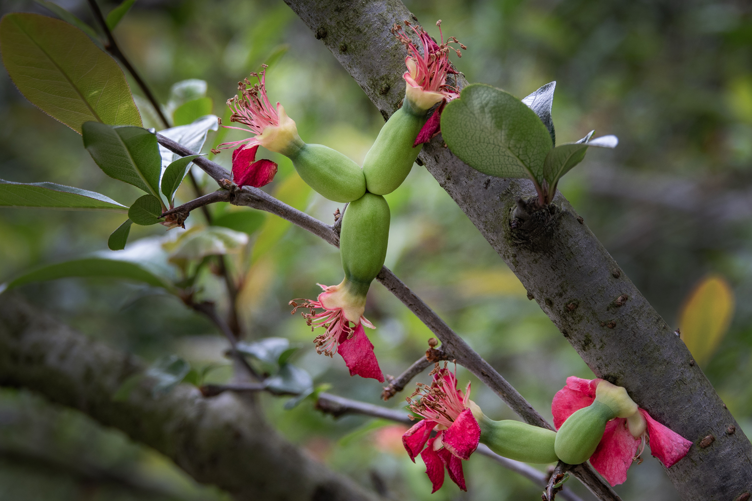 DSC06152-0.jpg