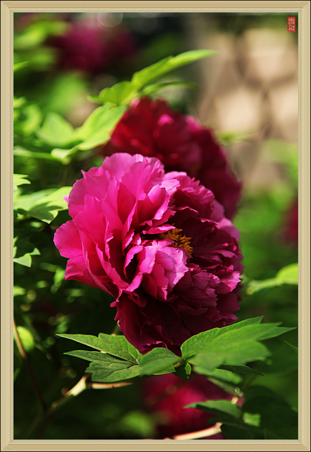IMG_5380---14.jpg