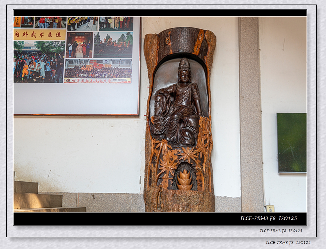 _DSC9788.jpg