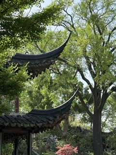 C53DA9DC-205F-436C-9E86-BEFD070A7D2E.jpeg