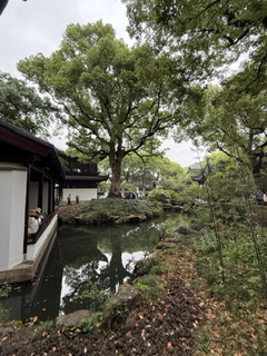 CF34CAB2-F0AD-425C-A933-45A6F07DC23A.jpeg